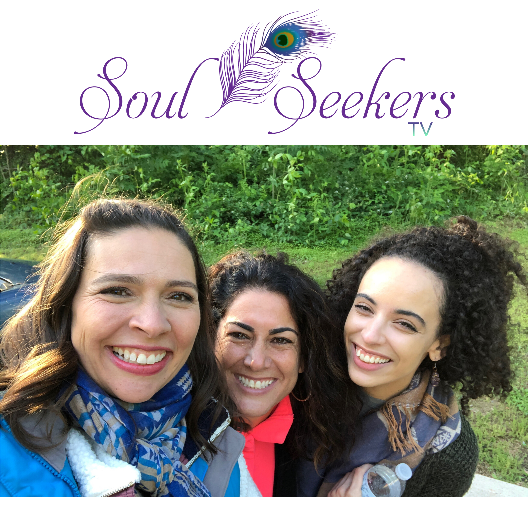 THE BIOLOGY OF INTUITION